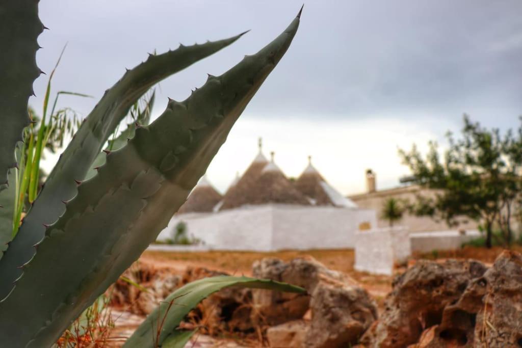 I Trulli D'A Ross Villa Ceglie Messapica Buitenkant foto